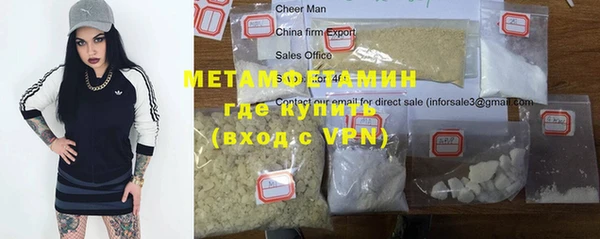 шишки Елизово