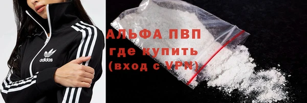 шишки Елизово