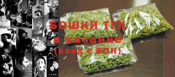 шишки Елизово