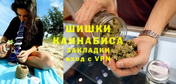 шишки Елизово