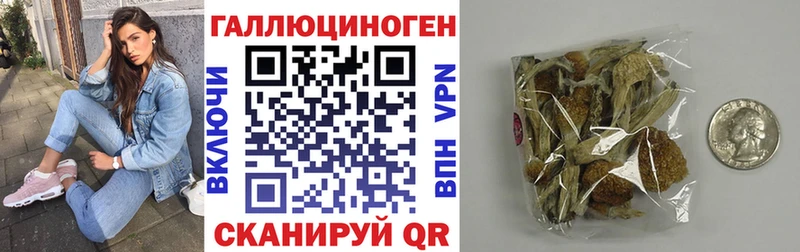 Галлюциногенные грибы Magic Shrooms  Купить где  Бузулук 